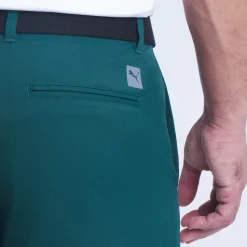 Puma Shorts Herr-Dealer 10 Green-Terrain