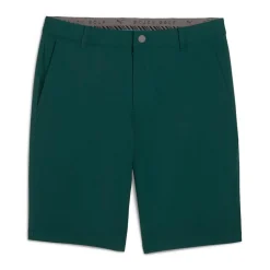 Puma Shorts Herr-Dealer 10 Green-Terrain