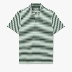 Lacoste Pikétröjor Herr-Thin Stripe Grön Vit Green/White (291)
